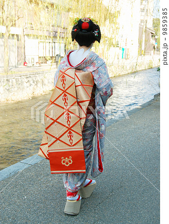 舞妓 舞妓 9859385