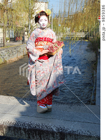 舞妓 9859386