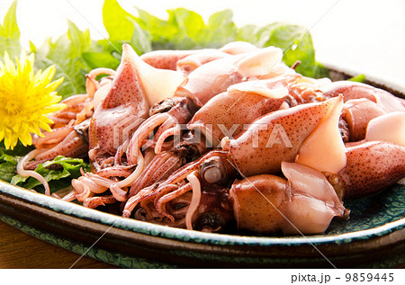 ほたるいか 9859445