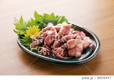 ほたるいか 9859447