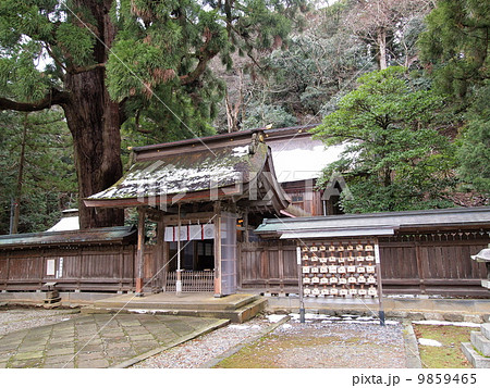 若狭彦神社下社・若狭姫神社 9859465