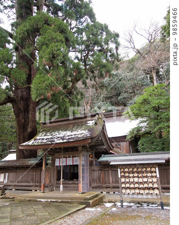 若狭彦神社下社・若狭姫神社 9859466