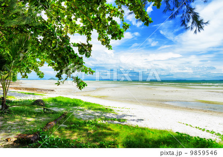 Beautiful tropical landscape. Samui Island, Thailand 9859546