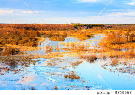 Spring Landscape With Flooded Trees Spring Landscape With Flooded Trees 9859668