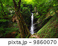 埼玉県秩父市大滝の不動滝と新緑 9860070