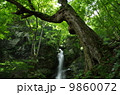 爽やかな新緑の季節、埼玉県秩父市大滝の不動滝 9860072