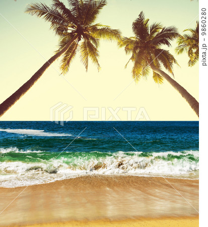 Tropical beach 9860280