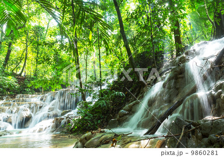 Waterfall in Mexico 9860281