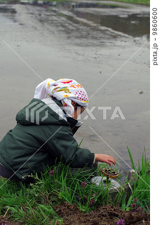 農業用水の蛇口を開ける子供 農業用水の蛇口を開ける子供 9860600