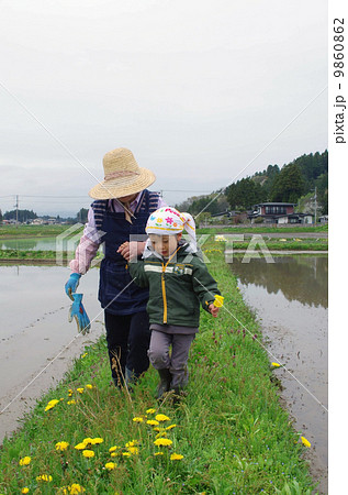 畦道を歩く祖母と孫 9860862