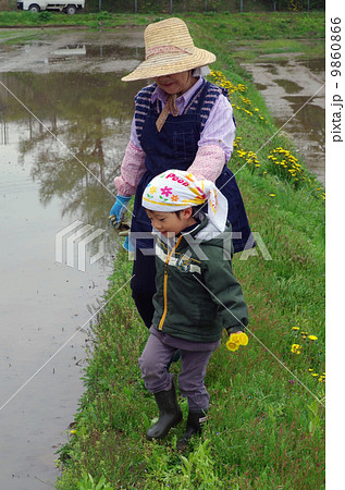 畦道を歩く祖母と孫 9860866