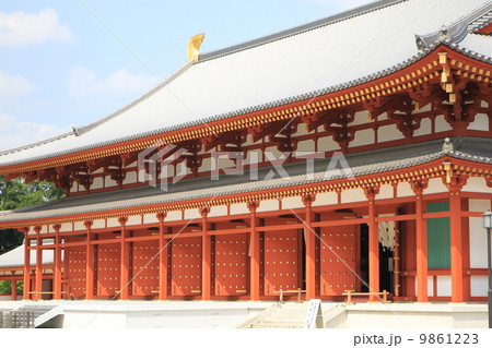 薬師寺 薬師寺 9861223