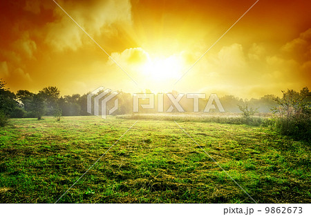 Meadow at sunset Meadow at sunset 9862673