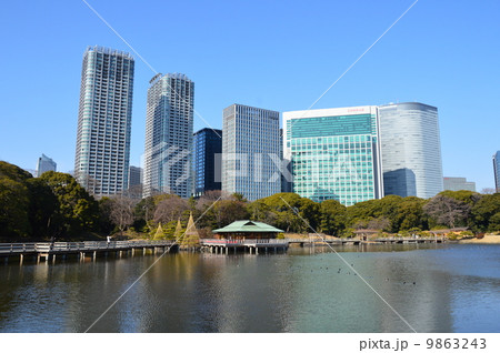 潮入の池･高層ビル（浜離宮恩賜公園／東京都中央区浜離宮庭園） 9863243
