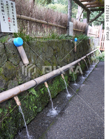 富士山本宮浅間大社 9863822