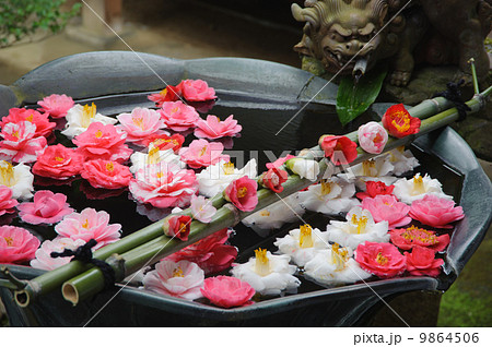 京都　法然院の蹲い 9864506