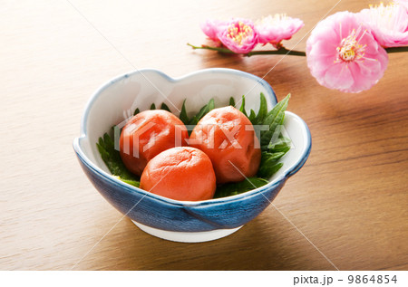 うめぼし 9864854