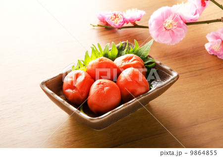 うめぼし 9864855