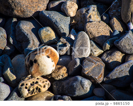 海岸にみる様々な石の種類 海岸にみる様々な石の種類 9865150