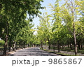 大阪城公園　夏 9865867