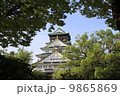 大阪城　夏 9865869