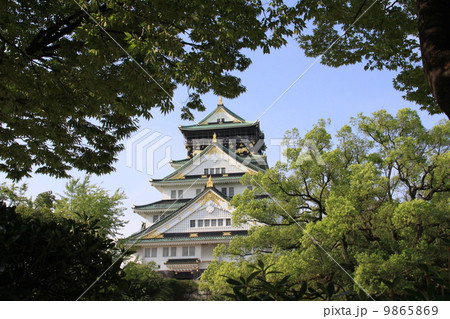 大阪城　夏 9865869