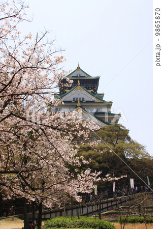 大阪城　春 9865870