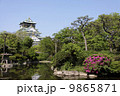 大阪城　秋 9865871