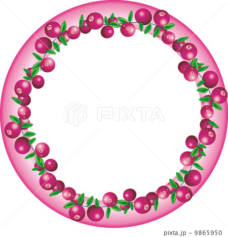 Border of cranberry 9865950