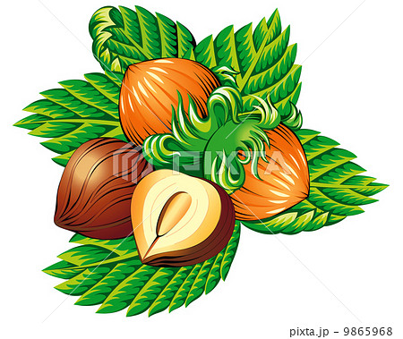 Nuts 9865968
