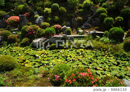 京都　東福寺　常楽庵庭園 9866130