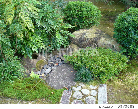 如庵の露地 9870088