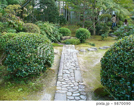 如庵の露地 9870090