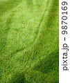 芝生の布 9870169