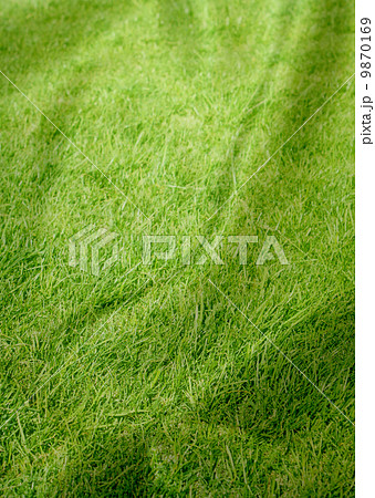 芝生の布のイラスト素材