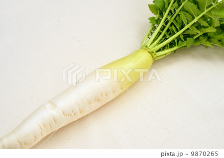葉付きダイコンのイメージ。 9870265