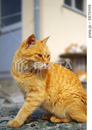 ふりかえり 9870406