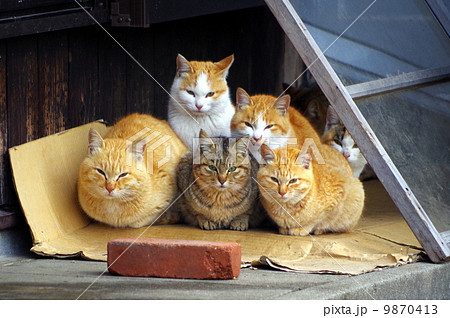 ピラミッド 9870413