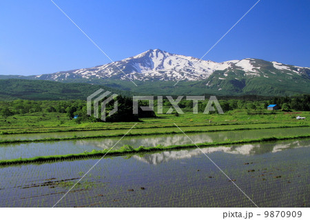 鳥海山と水田 9870909