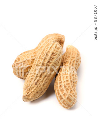 落花生-Arachis hypogaea 9871007