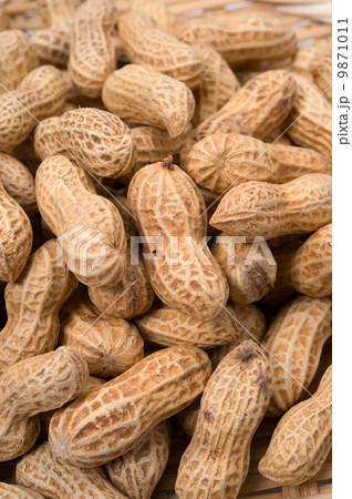 落花生-Arachis hypogaea 9871011
