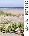 OHASHI_GALLERY_0016 OHASHI_GALLERY_0016 9871419