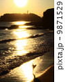 OHASHI_GALLERY_0024 OHASHI_GALLERY_0024 9871529