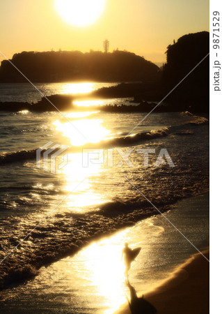 OHASHI_GALLERY_0024 OHASHI_GALLERY_0024 9871529