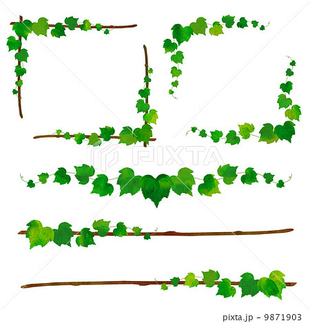 Ivy And Branch Frame Stock Illustration