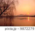 杭州、西湖の夕日と柳　Hangzhou WestLake sunset, China 9872279