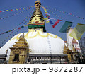 Swayambhunath Kathnmandu Nepal 9872287