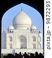 Taj Mahal, タージマハル 9872293