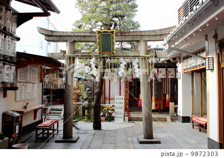 京都 市比賣神社 京都 市比賣神社 9872303