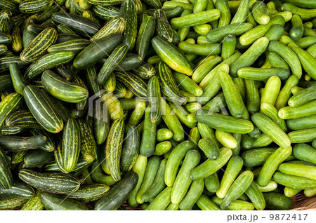 Fresh organic cucumbers at asian market Fresh organic cucumbers at asian market 9872417